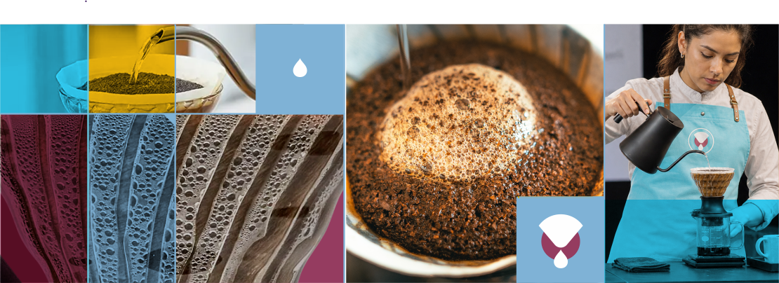 Barista prepara café filtrado en V60 junto a detalles de la extracción