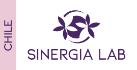 Sinergia Lab