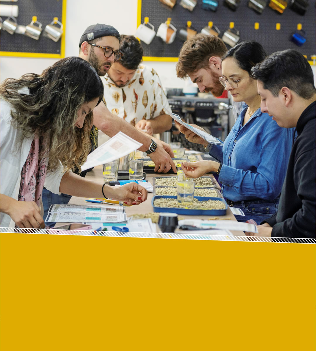 academy lab cabezote movil