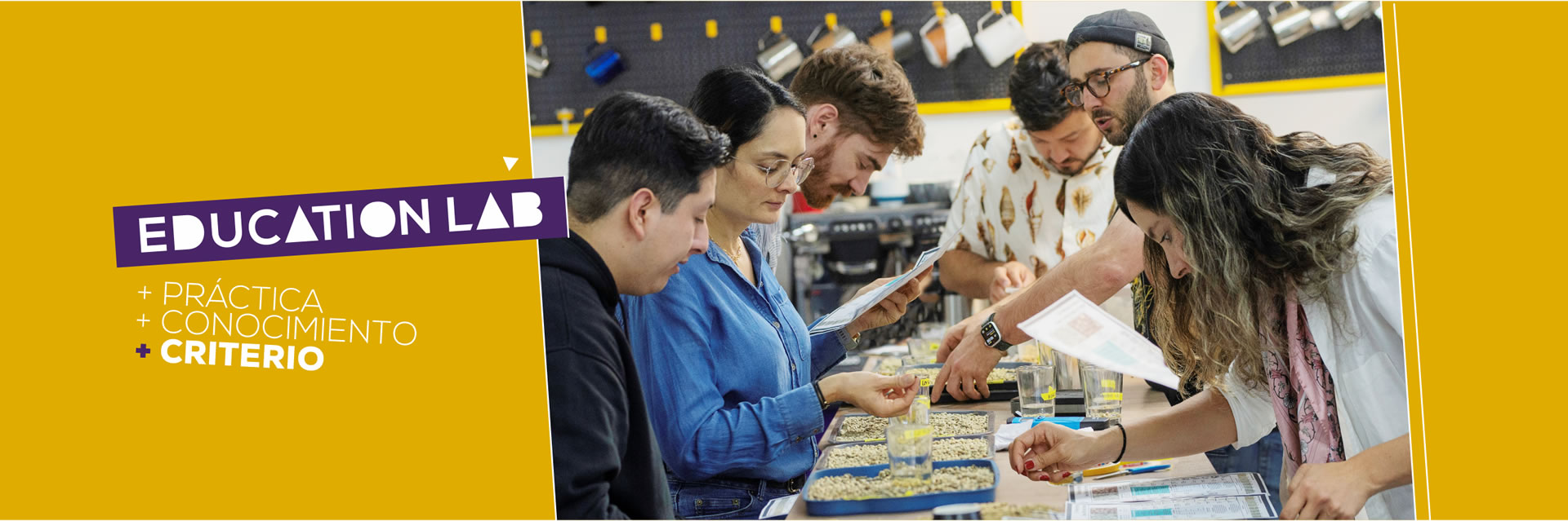 cabezote - academy lab