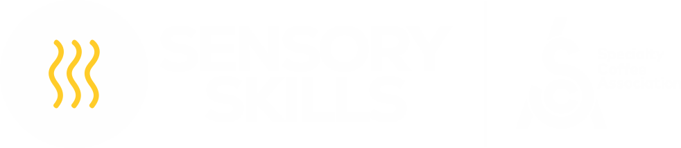 logo - sensory skills