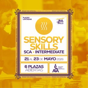 SCA - SENSORY SKILLS