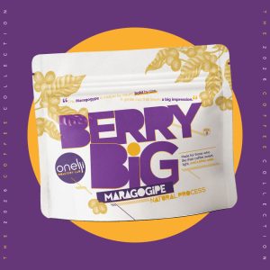 BERRY BIG
